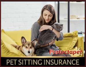 Lady cuddling a cat with a dog sitting by her side 